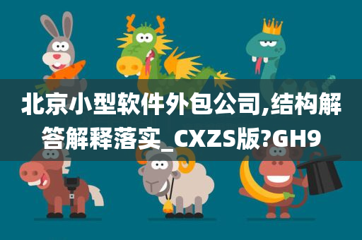 北京小型软件外包公司,结构解答解释落实_CXZS版?GH9