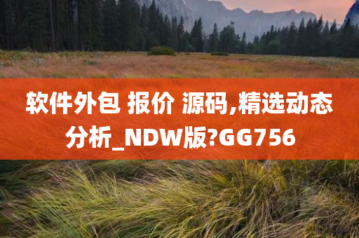 软件外包 报价 源码,精选动态分析_NDW版?GG756