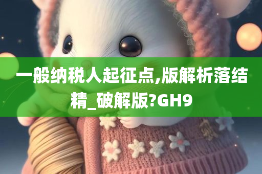 一般纳税人起征点,版解析落结精_破解版?GH9