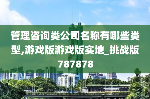 管理咨询类公司名称有哪些类型,游戏版游戏版实地_挑战版787878