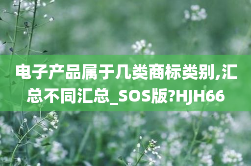 电子产品属于几类商标类别,汇总不同汇总_SOS版?HJH66