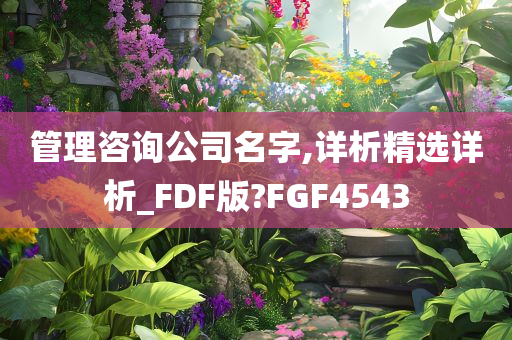 管理咨询公司名字,详析精选详析_FDF版?FGF4543