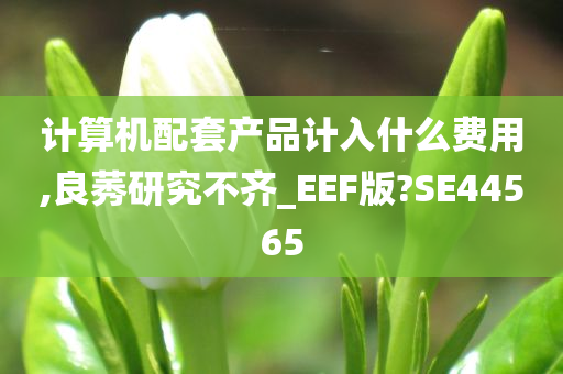 计算机配套产品计入什么费用,良莠研究不齐_EEF版?SE44565