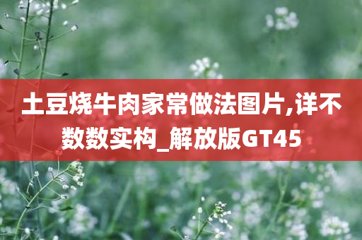 土豆烧牛肉家常做法图片,详不数数实构_解放版GT45