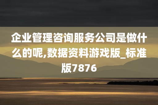 企业管理咨询服务公司是做什么的呢,数据资料游戏版_标准版7876