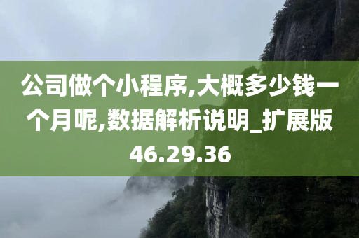 公司做个小程序,大概多少钱一个月呢,数据解析说明_扩展版46.29.36