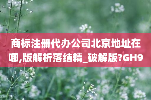 商标注册代办公司北京地址在哪,版解析落结精_破解版?GH9