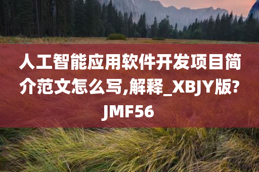 人工智能应用软件开发项目简介范文怎么写,解释_XBJY版?JMF56