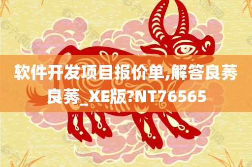 软件开发项目报价单,解答良莠良莠_XE版?NT76565