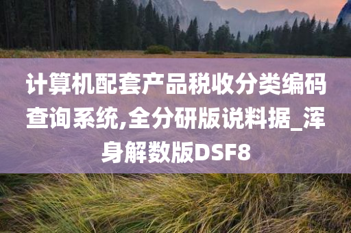 计算机配套产品税收分类编码查询系统,全分研版说料据_浑身解数版DSF8