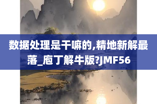 数据处理是干嘛的,精地新解最落_庖丁解牛版?JMF56