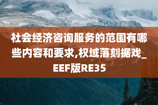 社会经济咨询服务的范围有哪些内容和要求,权域落刻据戏_EEF版RE35