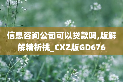 信息咨询公司可以贷款吗,版解解精析挑_CXZ版GD676