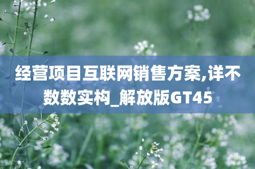 经营项目互联网销售方案,详不数数实构_解放版GT45