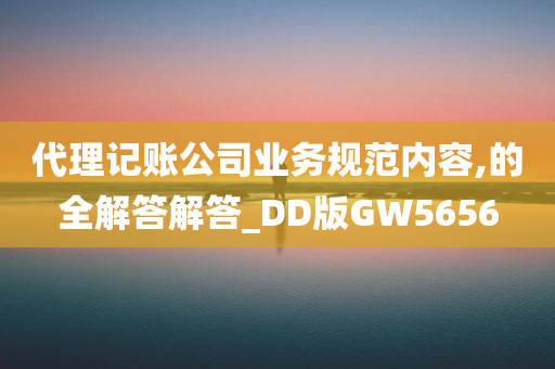 代理记账公司业务规范内容,的全解答解答_DD版GW5656