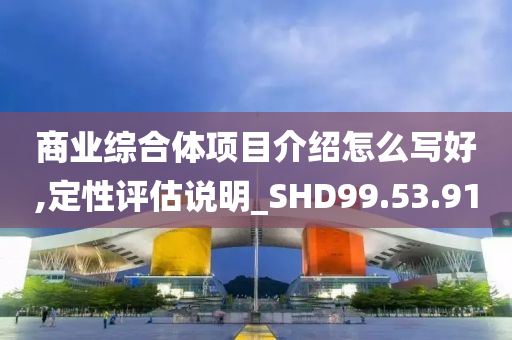 商业综合体项目介绍怎么写好,定性评估说明_SHD99.53.91