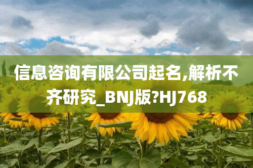 信息咨询有限公司起名,解析不齐研究_BNJ版?HJ768