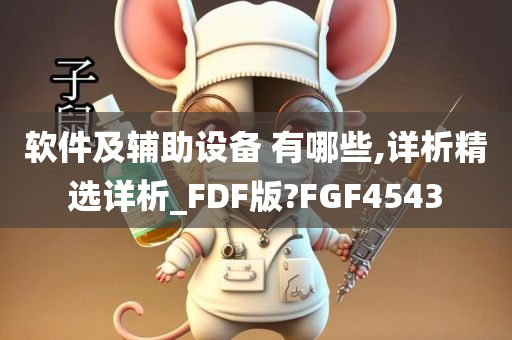 软件及辅助设备 有哪些,详析精选详析_FDF版?FGF4543