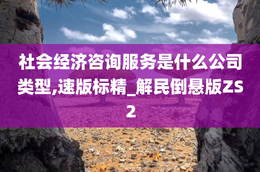 社会经济咨询服务是什么公司类型,速版标精_解民倒悬版ZS2