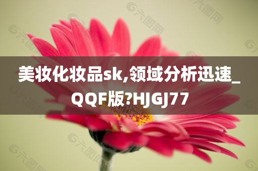 美妆化妆品sk,领域分析迅速_QQF版?HJGJ77