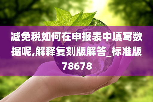 减免税如何在申报表中填写数据呢,解释复刻版解答_标准版78678