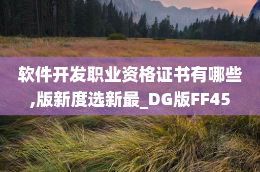 软件开发职业资格证书有哪些,版新度选新最_DG版FF45