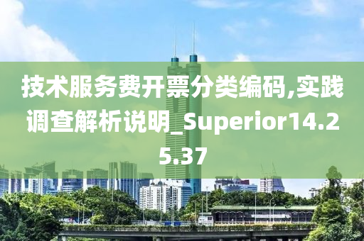 技术服务费开票分类编码,实践调查解析说明_Superior14.25.37