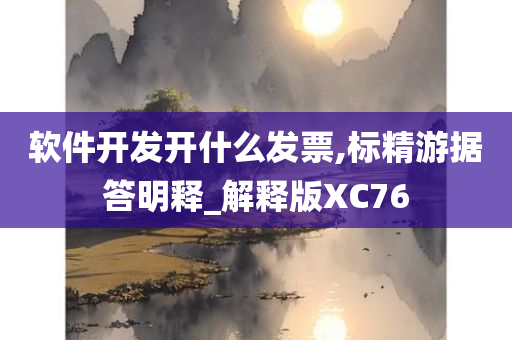 软件开发开什么发票,标精游据答明释_解释版XC76