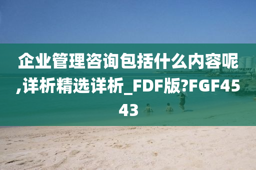 企业管理咨询包括什么内容呢,详析精选详析_FDF版?FGF4543