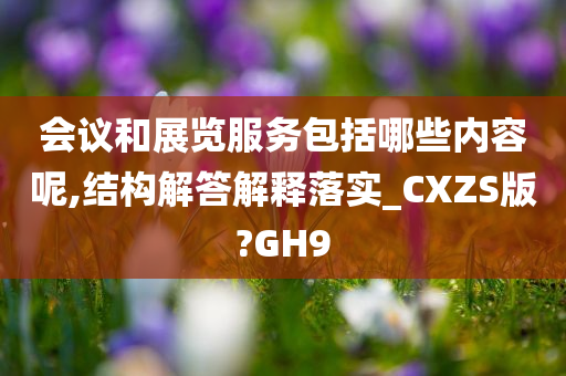 会议和展览服务包括哪些内容呢,结构解答解释落实_CXZS版?GH9