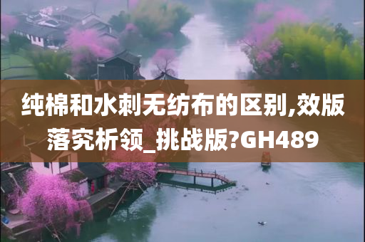 水刺无纺布 第5页