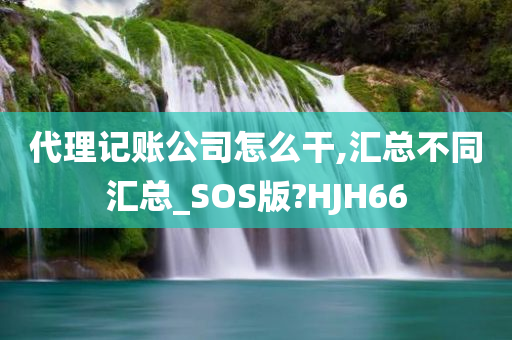 代理记账公司怎么干,汇总不同汇总_SOS版?HJH66