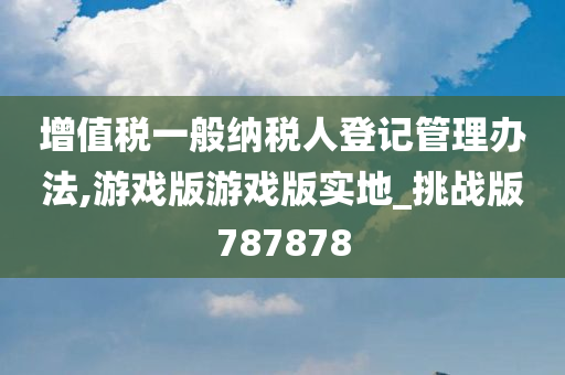 增值税一般纳税人登记管理办法,游戏版游戏版实地_挑战版787878