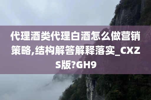 代理酒类代理白酒怎么做营销策略,结构解答解释落实_CXZS版?GH9