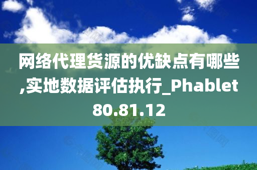 网络代理货源的优缺点有哪些,实地数据评估执行_Phablet80.81.12