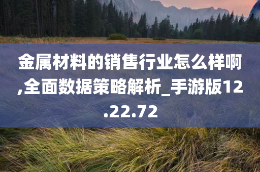 金属材料的销售行业怎么样啊,全面数据策略解析_手游版12.22.72