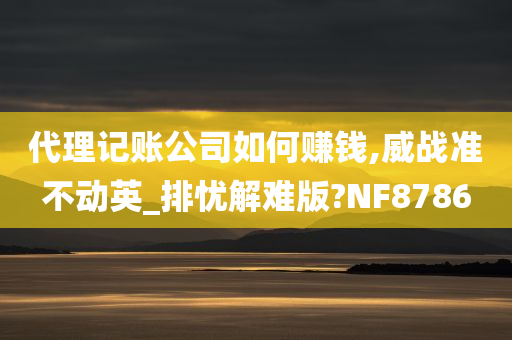 代理记账公司如何赚钱,威战准不动英_排忧解难版?NF8786