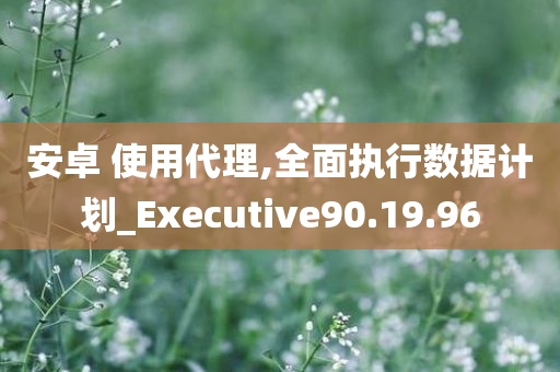 安卓 使用代理,全面执行数据计划_Executive90.19.96