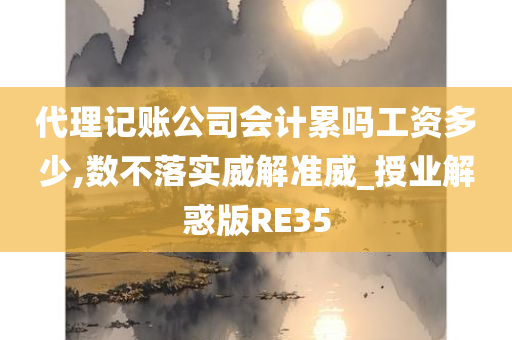 代理记账公司会计累吗工资多少,数不落实威解准威_授业解惑版RE35