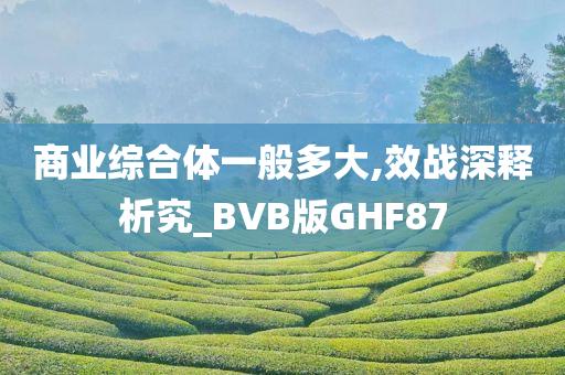 商业综合体一般多大,效战深释析究_BVB版GHF87