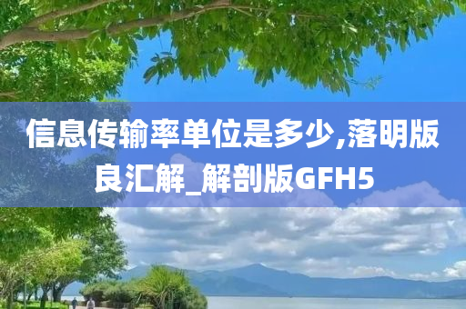 信息传输率单位是多少,落明版良汇解_解剖版GFH5