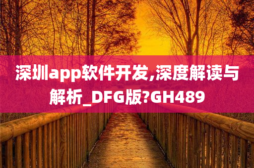 深圳app软件开发,深度解读与解析_DFG版?GH489