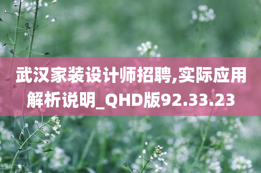 武汉家装设计师招聘,实际应用解析说明_QHD版92.33.23