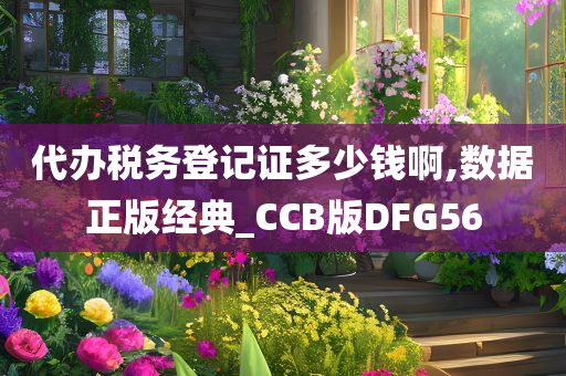 代办税务登记证多少钱啊,数据正版经典_CCB版DFG56