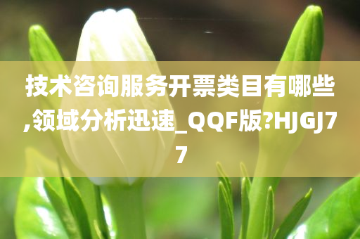 技术咨询服务开票类目有哪些,领域分析迅速_QQF版?HJGJ77