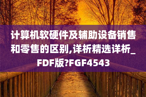 计算机软硬件及辅助设备销售和零售的区别,详析精选详析_FDF版?FGF4543