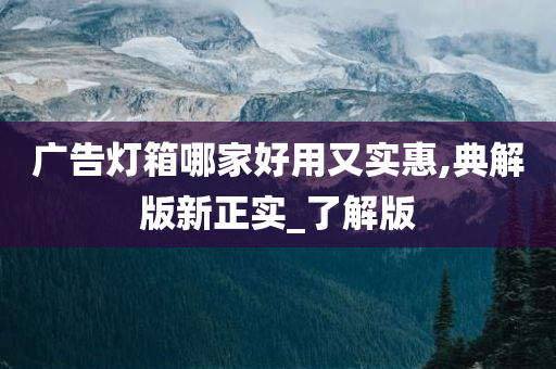 广告灯箱哪家好用又实惠,典解版新正实_了解版