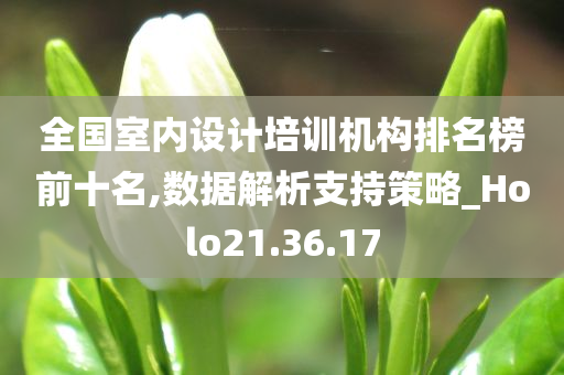 全国室内设计培训机构排名榜前十名,数据解析支持策略_Holo21.36.17