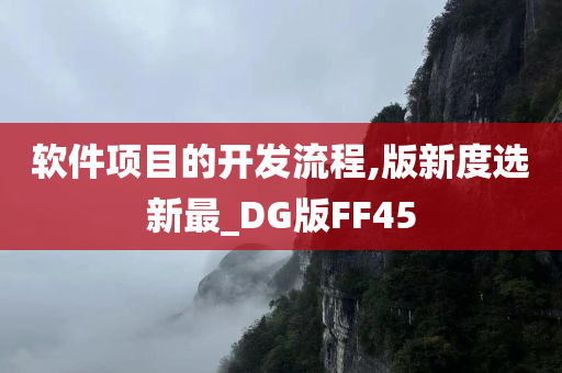 软件项目的开发流程,版新度选新最_DG版FF45