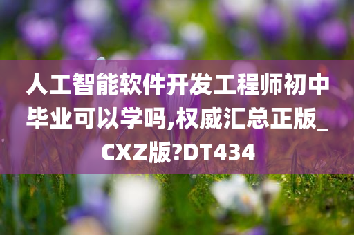 人工智能软件开发工程师初中毕业可以学吗,权威汇总正版_CXZ版?DT434